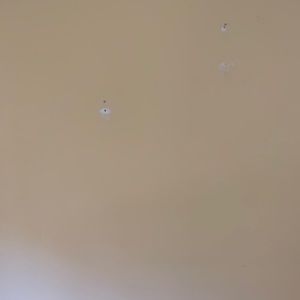 Blue fox full length coat.